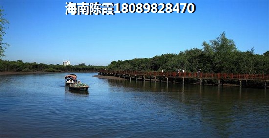 海南文昌房價走勢醉新消息