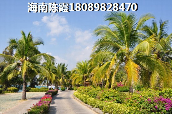 海南陵水的房子生紙的空間大嗎？
